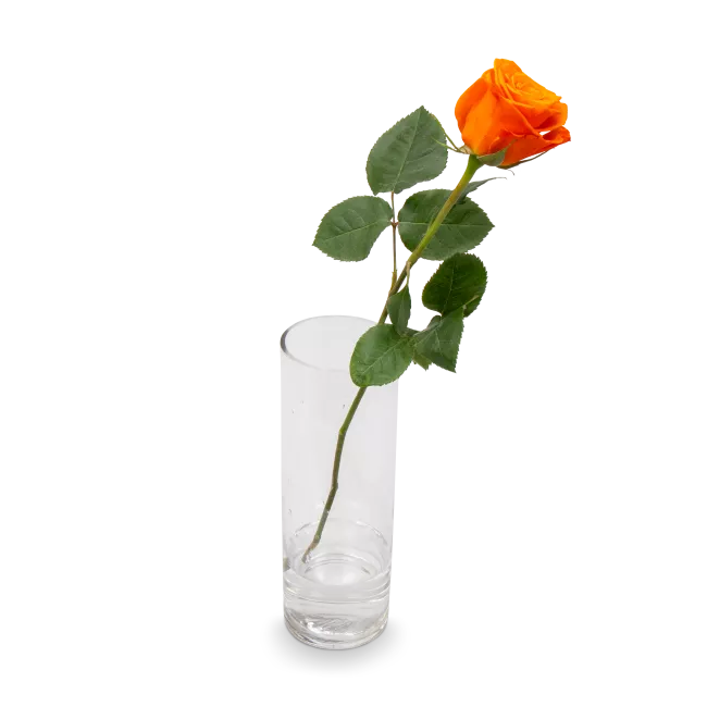 Kytice oranžových růží